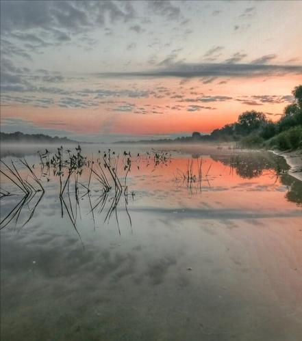 ���� �� �.���