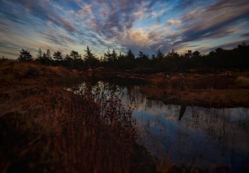 ����� ��� �������