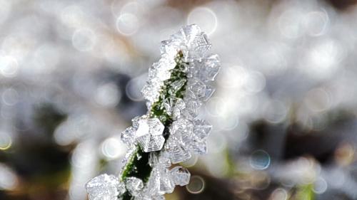 ����������� �����