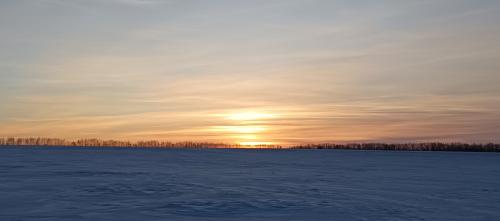 ������ ��������