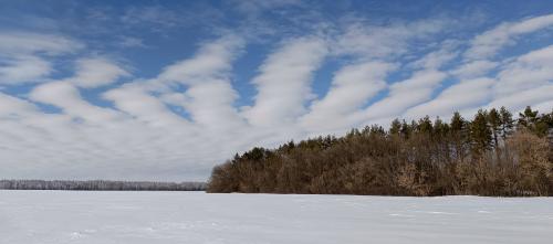 ������ ����