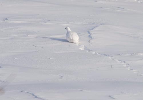 ����� �� ����� 