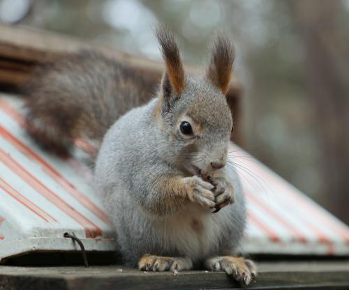 �������)