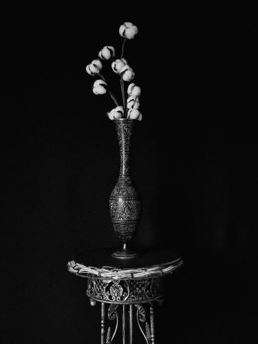 � ����� �����