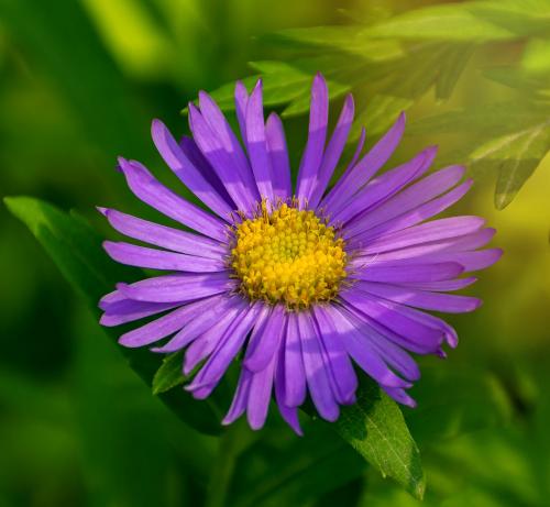 ����� ����������