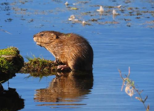 �������