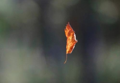 �������� � ������...