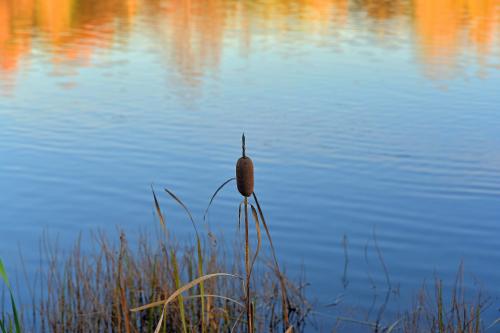 �������� �����