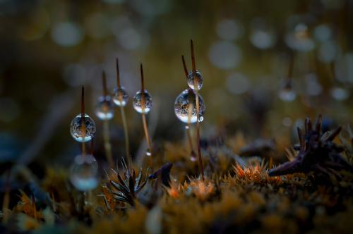 �������� ����...