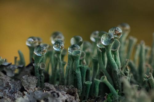 �������� � ����������...