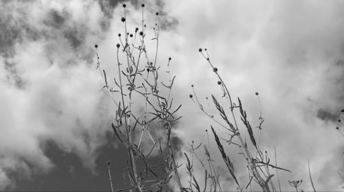 ��������� - � ����