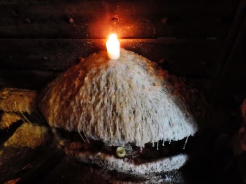 ����� ������...