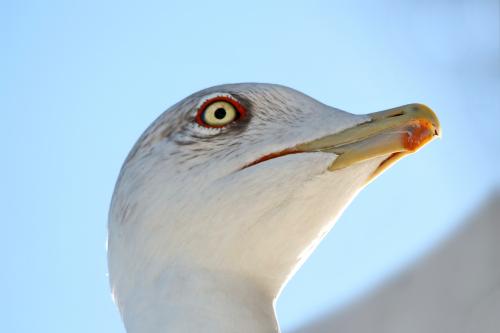 ������ �����. 