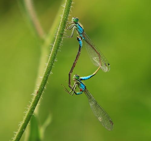 ��� ���� ���?