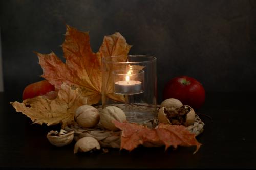 ������� ����������