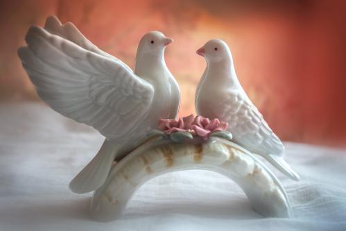 ������ � ��������