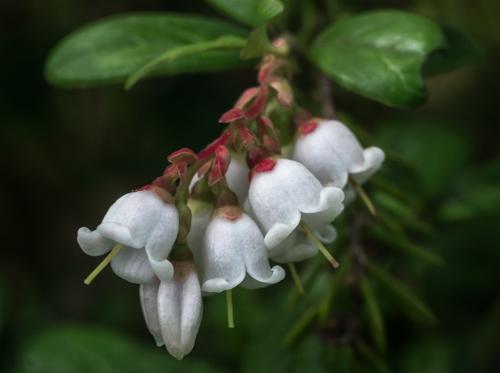 �������� ��������...