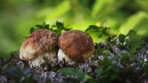 ���������...