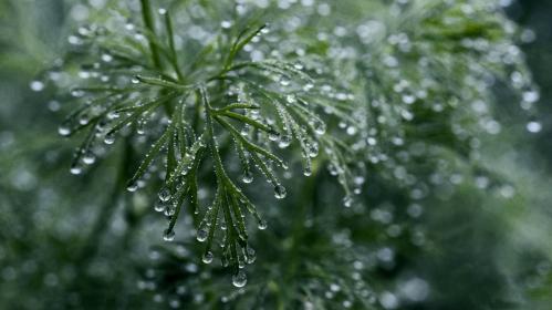 ����� � ��������� �������� ����...