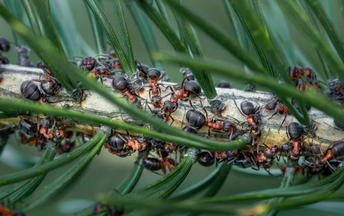 ������� � ���...