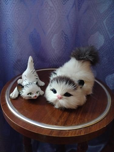 ��������.