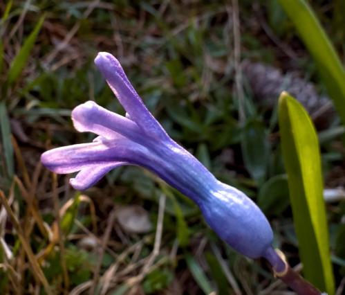 �� ������� ������