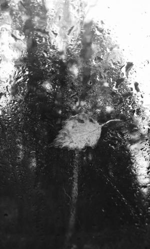 ���� ����� - ��������� �����