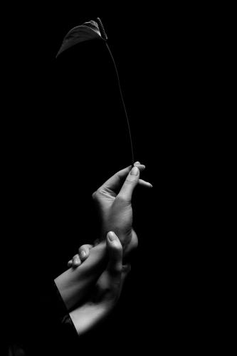 ������� �����