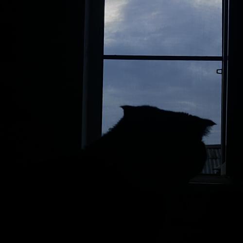 I Love You Very Much Forever.