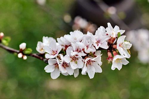 ����� ��������� ������