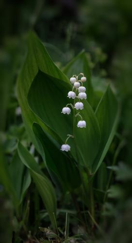 �������...