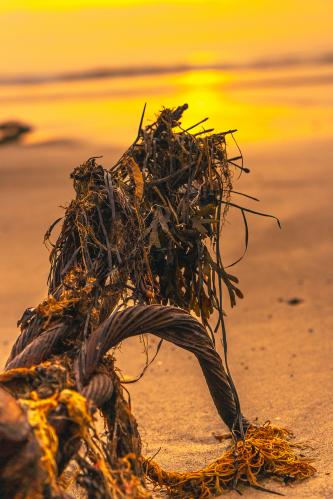 �� ������ ������� �����...