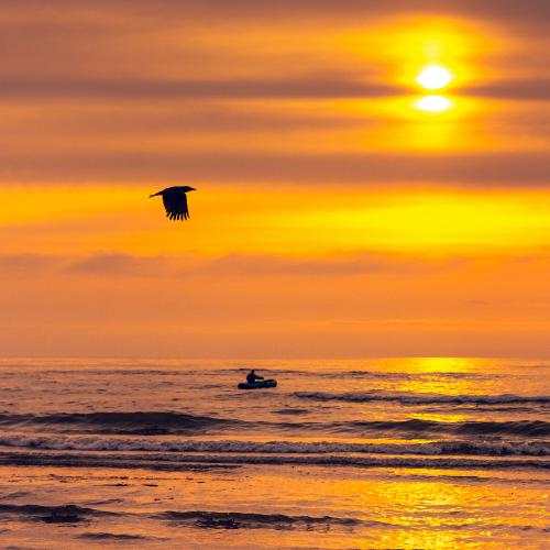 ���� �������� ���������