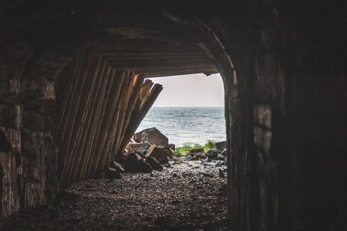 ������� ������� ��������...