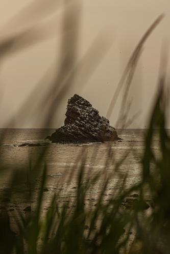 ���� ���� ����� ����...