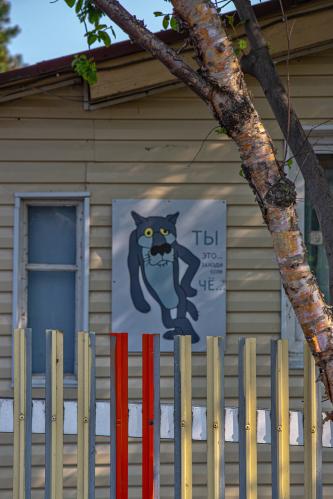 ������ ���� � ������