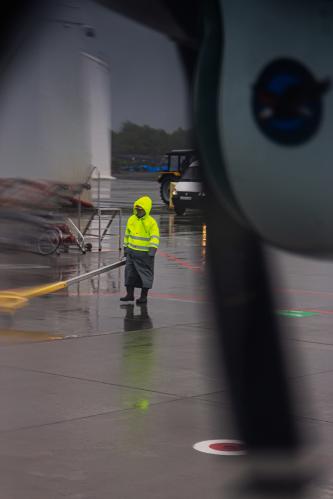 ��� ���� ����� ���������