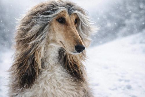 ��������� ������