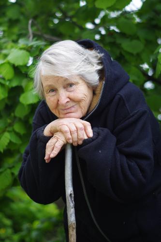 ���� ����