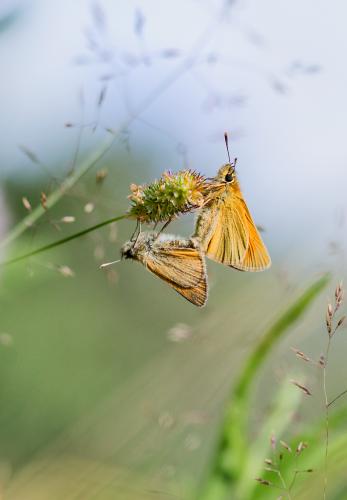 ������� �������������...