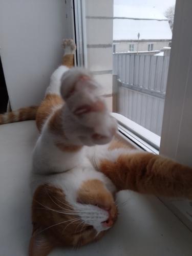 ������� �������....