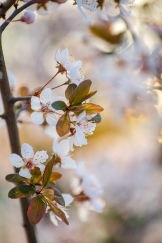 �������� �����