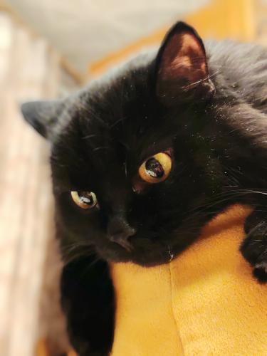 � ������������.. 