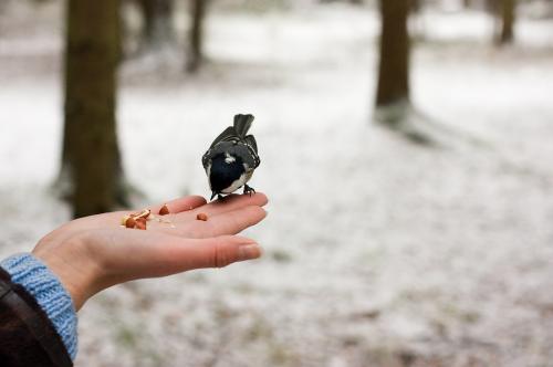 ��� ������� � ����?