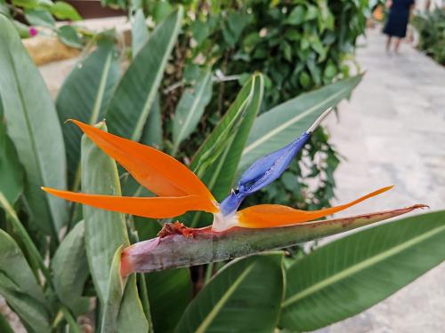 ����� �������