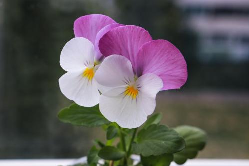 ������ ���� ���� �����