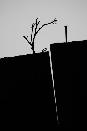 �������� �����