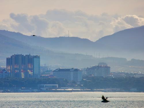 ��� ������