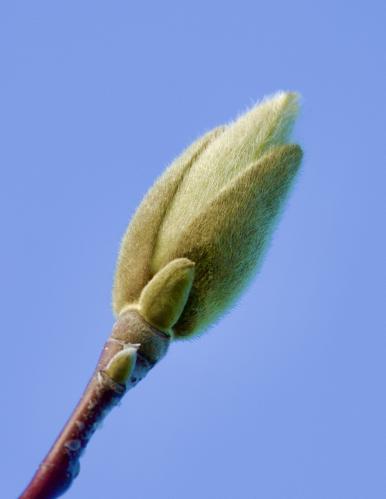 ��������� ����� ��������