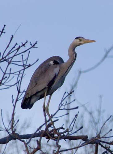 ����� ����� �� ������